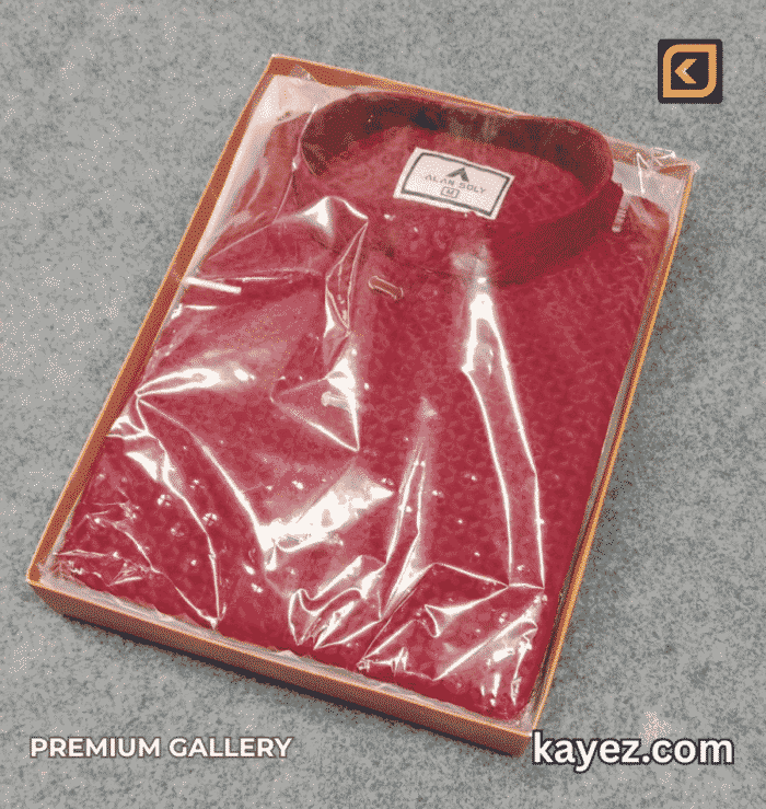 Sequin Embroidery Premium Panjabi KPJ1004 - Image 4
