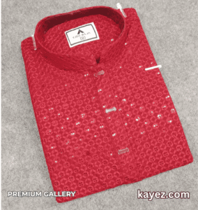 Sequin Embroidery Premium Panjabi KPJ1004 - Image 2
